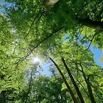 Hasenbau Flüren *