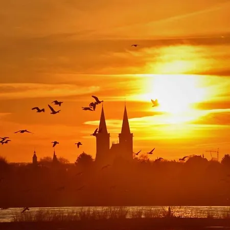 Hasenbau Flueren Wesel (North Rhine-Westphalia)