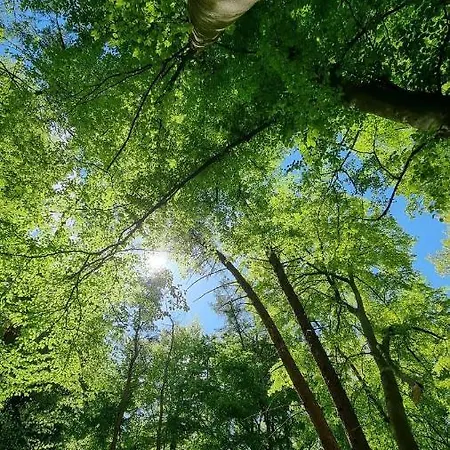 Hasenbau Flueren *