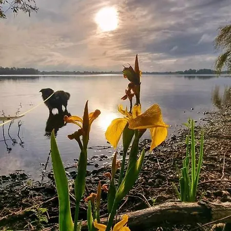 Dom wakacyjny Hasenbau Flueren *