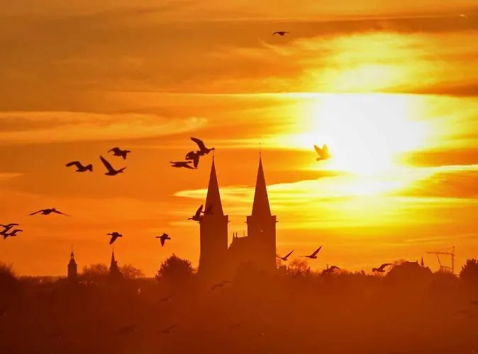 Hasenbau Wesel-flueren Wesel (North Rhine-Westphalia)