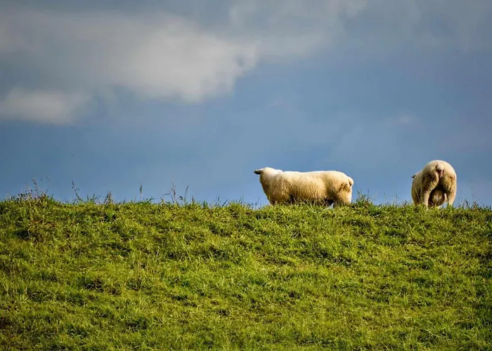Hasenbau Wesel-flueren Vakantiehuis