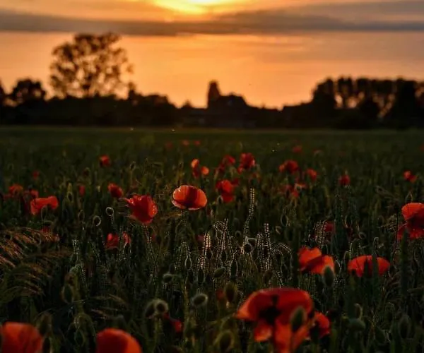 Hasenbau Wesel-flueren * Wesel (North Rhine-Westphalia)